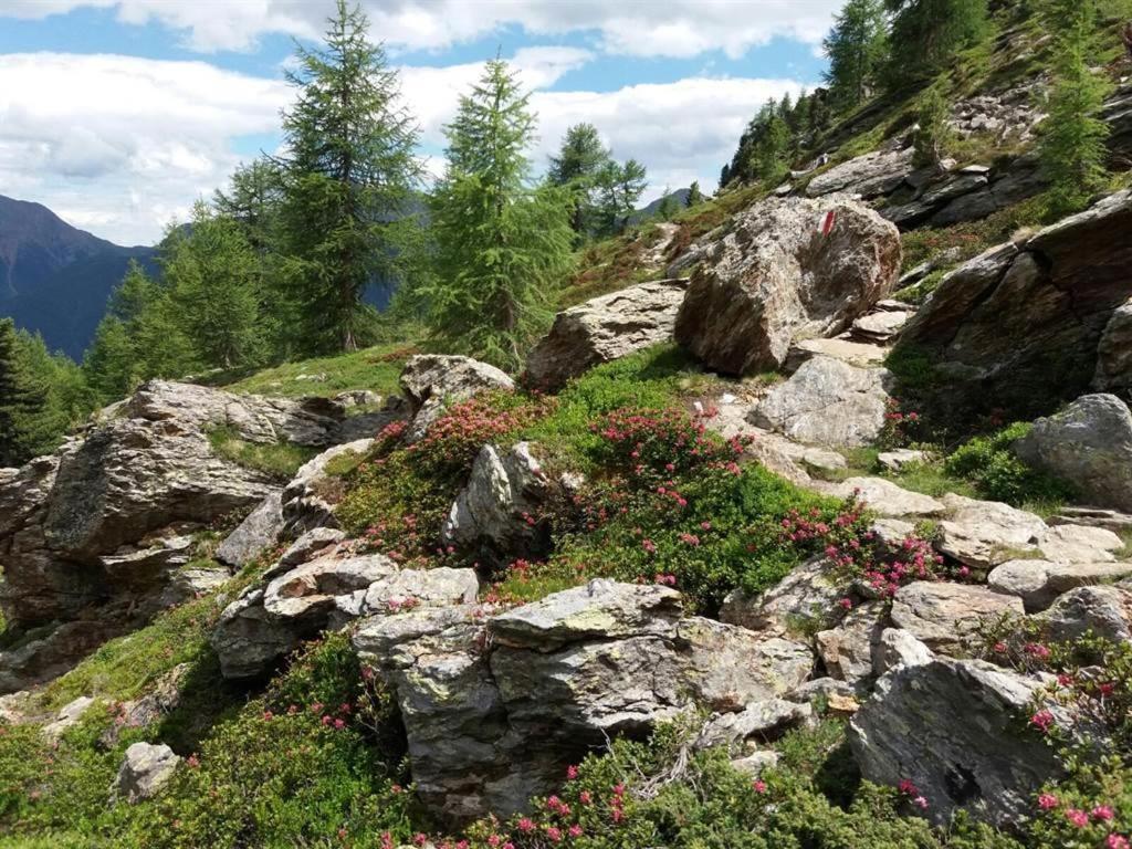 Apartamento Rudigier Margret Und Franz Sankt Gallenkirch Exterior foto